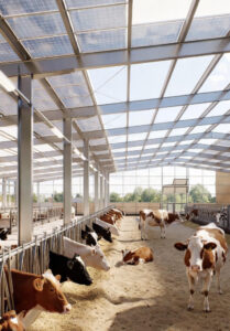 Projekt arkitekturor i studios.